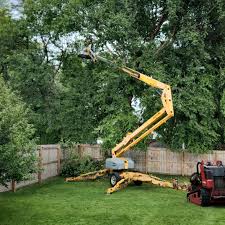 Best Emergency Tree Removal  in Red Bluff, CA