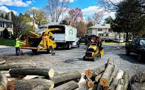 Best Tree Trimming and Pruning  in Red Bluff, CA